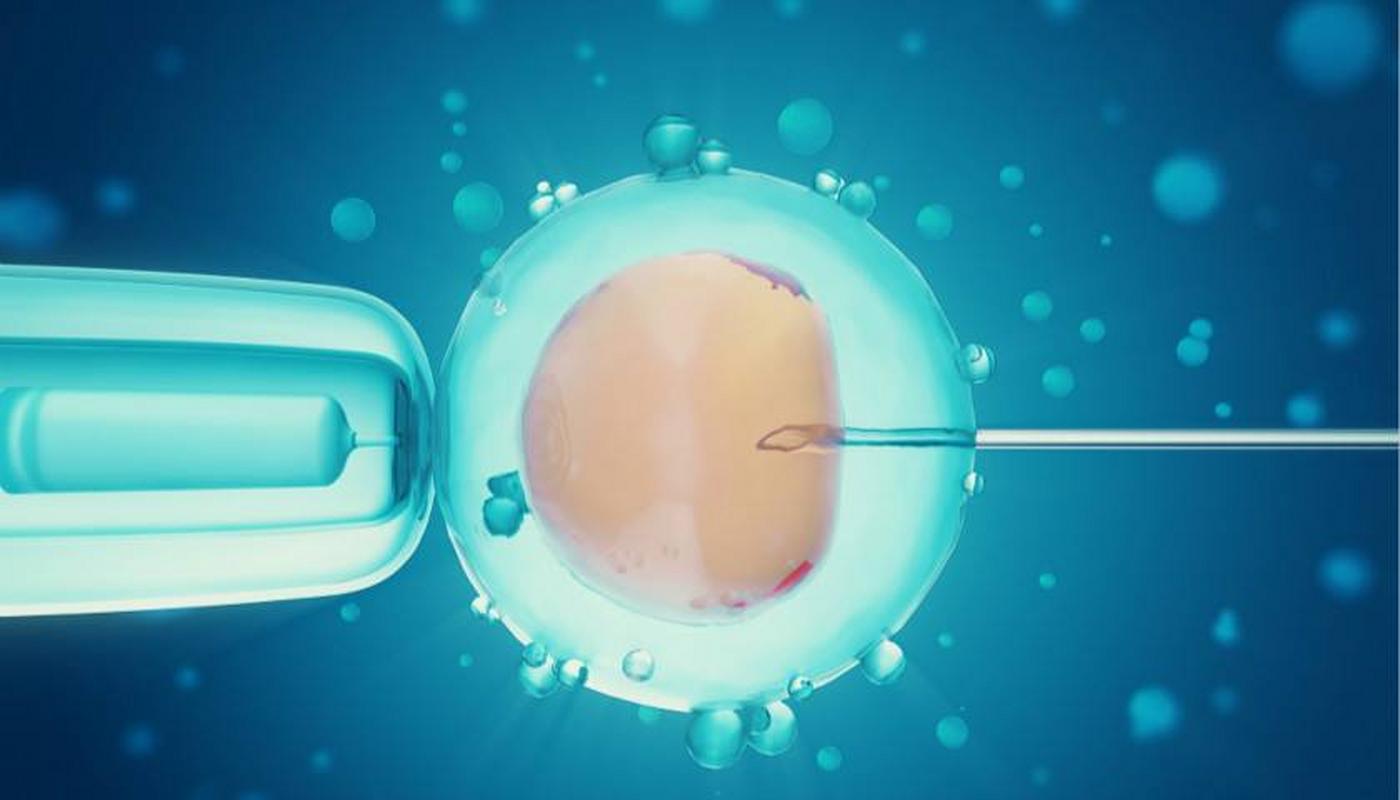 帮别人试管代怀违法吗_帮别人试管代怀违法吗?调查揭秘代孕风险