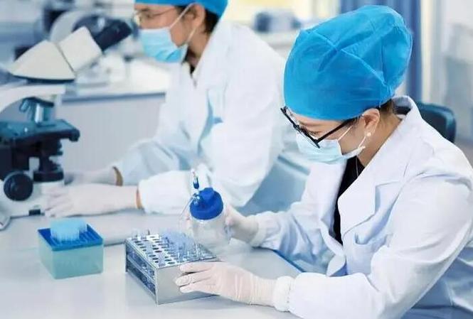 试管供卵代生男孩_试管婴儿:代孕男孩计划