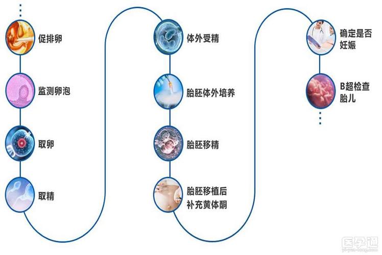 借卵试管代怀费(借卵试管代怀费:解读代孕费用和程序)